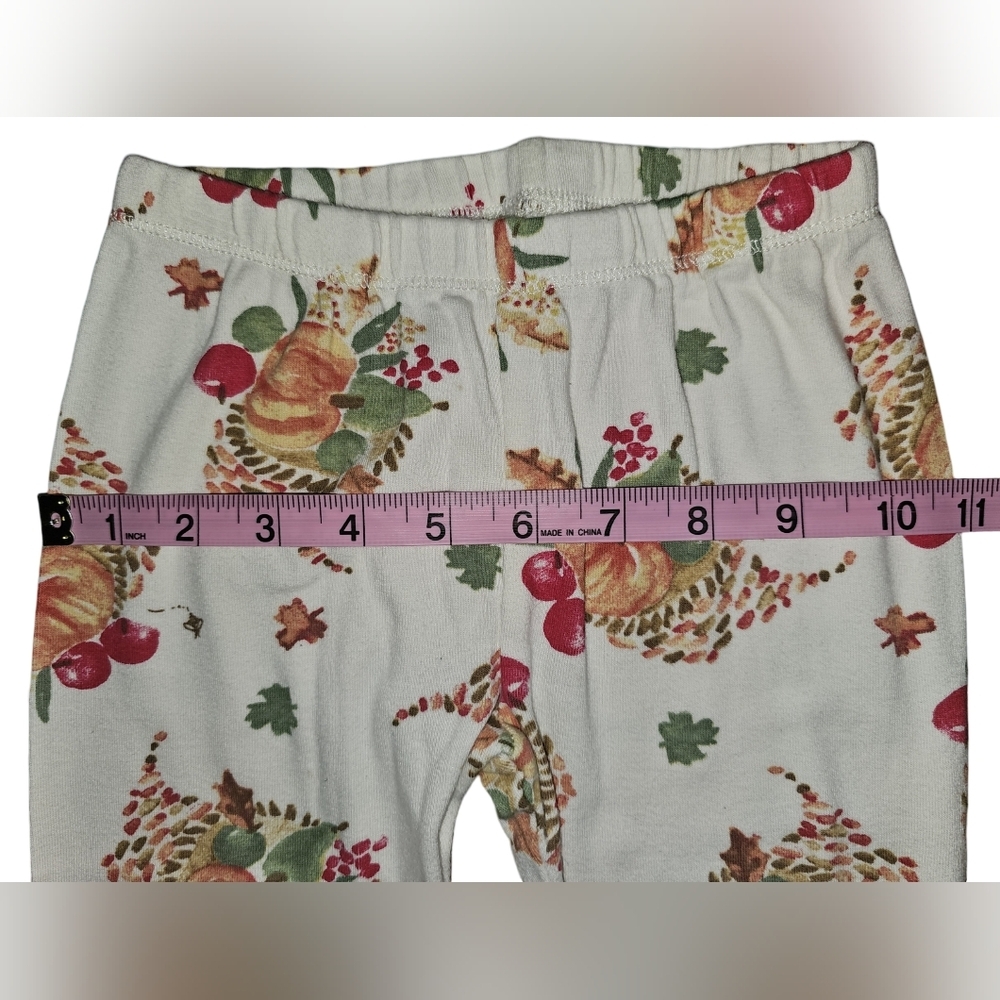 Burt’s Bees Kids Organic Cotton Pajama Set Thanksgiving Fall Pumpkin Harvest 4T - Picture 12 of 16